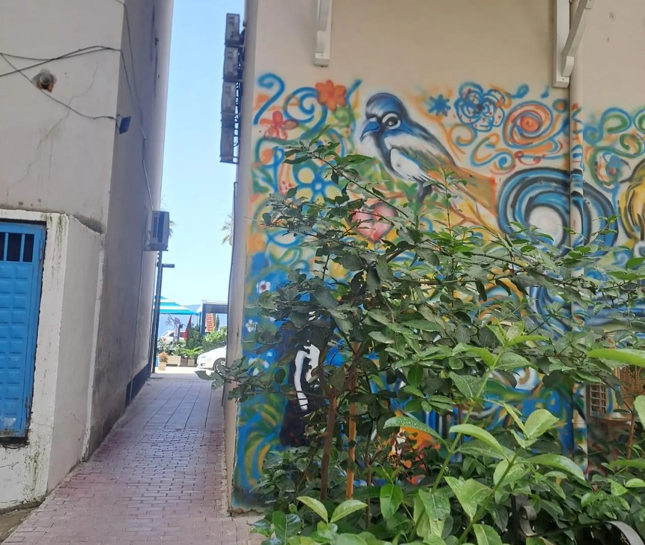 Charming Apartment Vlore